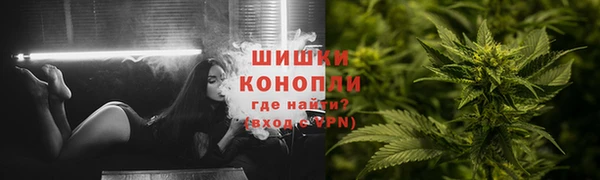 амф Мегион