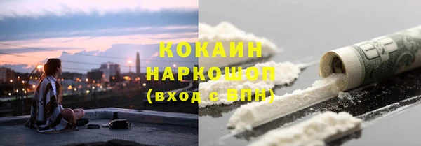 стафф Медногорск