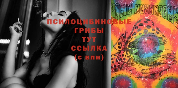 спайс Майский